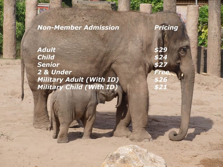 Elephants_in_zoo_pricing